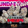 Sundae Driver Weed