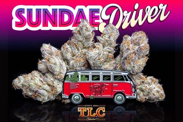 Sundae Driver Weed