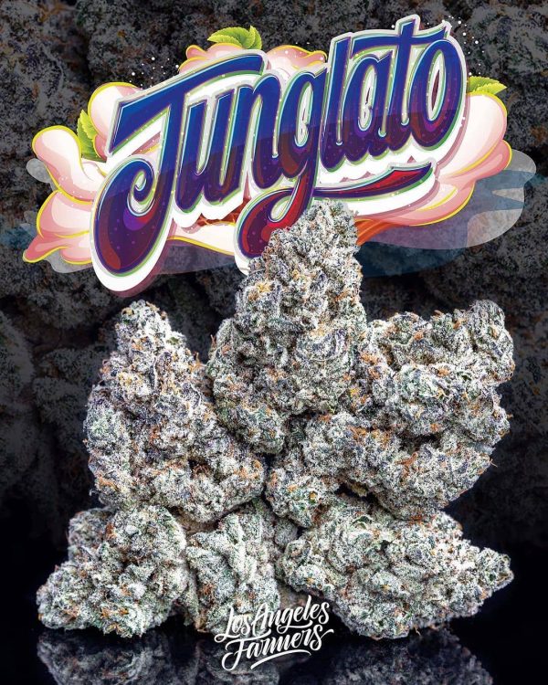 Junglato Weed