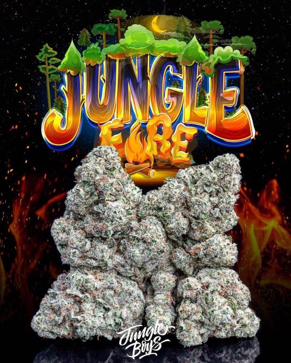 Jungle Fire Weed