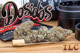 DOSIDOS STRAIN