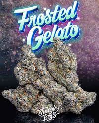 Frosted Gelato Weed