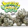 JUNGLE CAKE WEED