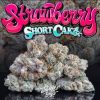 STRAWBERRY SHORTCAKE STRAIN