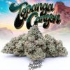 TOPANGA CANYON STRAIN