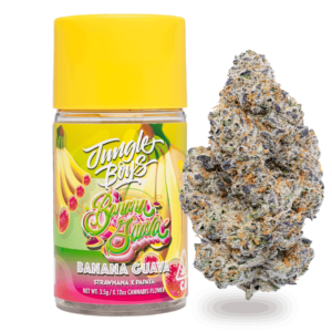 Banana Guava Strain