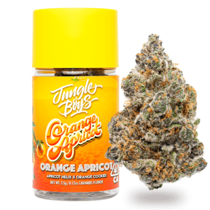 Orange Apricot Strain